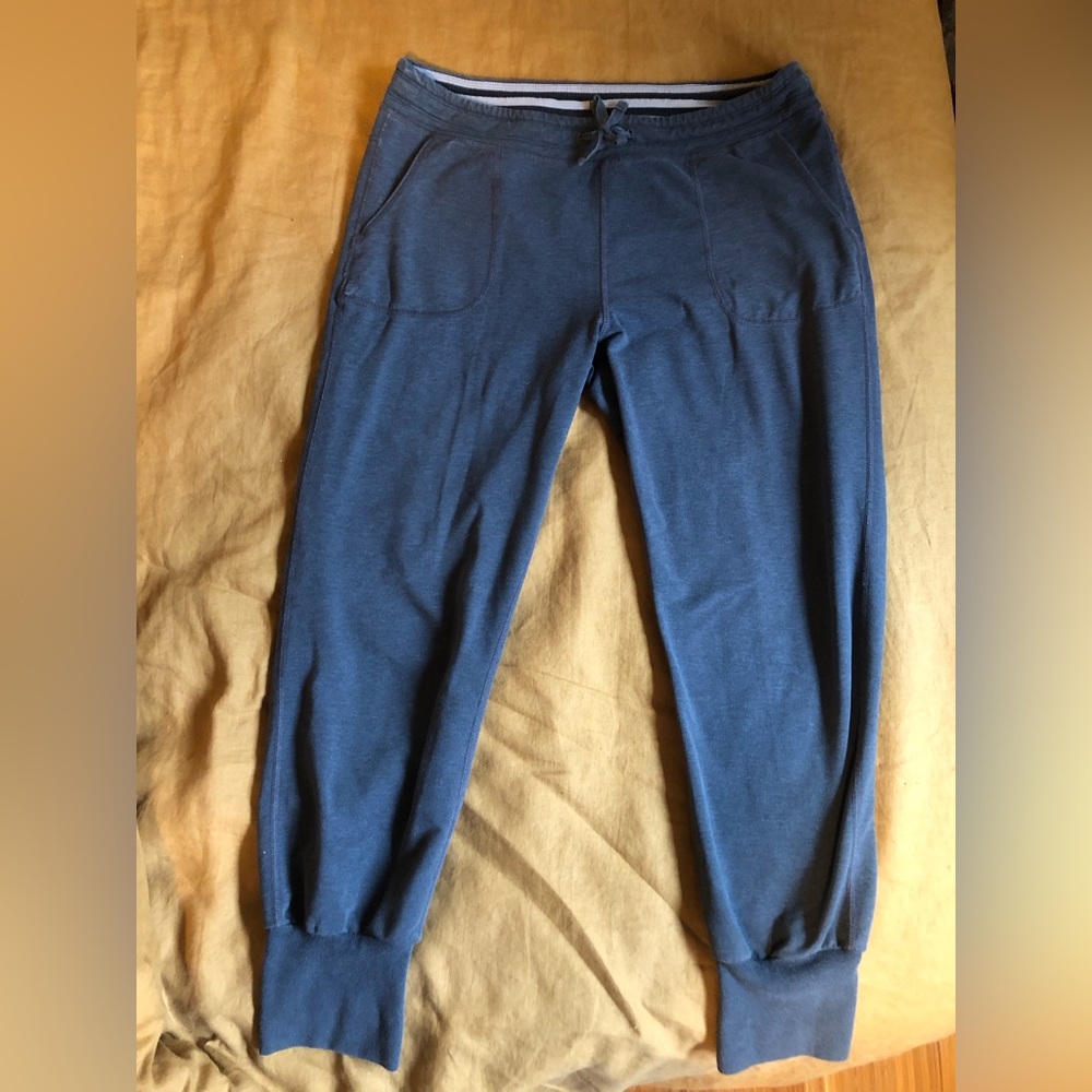Patagonia Ahnya organic cotton sweatpant